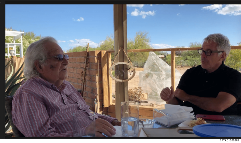 epstein and chomsky 